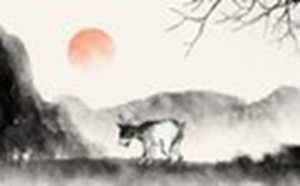 2022年91年属羊的运势和财运(2022年91年属羊的运势和财运如何)
