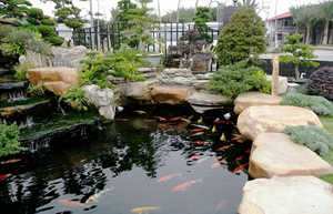 院子挖鱼塘风水禁忌