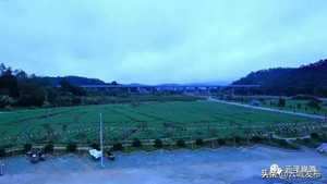 云浮安塘大地风水(云浮安塘大地风水怎么样)