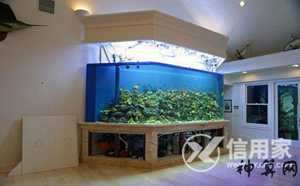 店铺金鱼缸摆放风水(店铺金鱼缸摆放风水好吗)