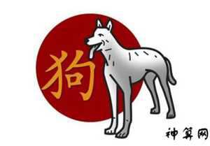 2018狗年运势(2018狗年运势及运程)