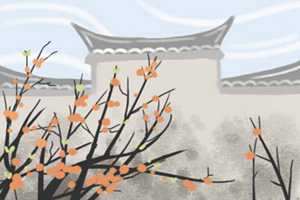 客厅财位摆放什么招财-神算网(客厅财位摆放什么植物招财)
