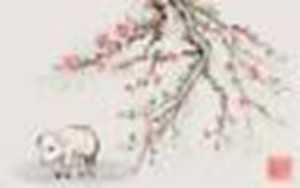 属猪今年的运气怎么样(属猪今年的运气怎么样)