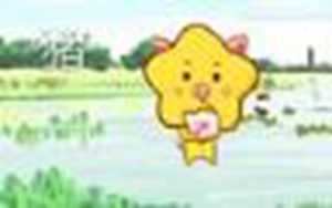 今天属猪的运气怎么样(今天属猪的运气怎么样巴巴神)