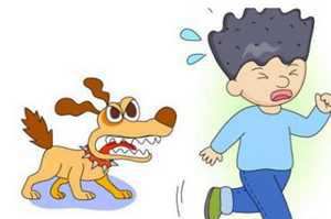 做梦梦见被小孩狗咬(做梦梦见被小孩狗咬了)