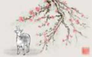 属相配对查询(属相配对查询)