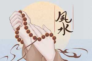 想要家里风水旺财可以摆什么(想要家里风水旺财可以摆什么摆件)