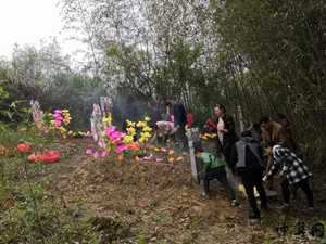 清明节祭祖风水(清明节祭祖风水讲究)