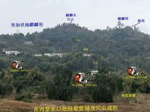 祖坟风水看官运(祖坟风水看官运还是官运)