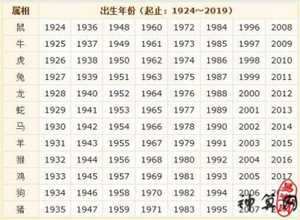 1960年2月2日属什么生肖(1960年2月2日出生是什么命)