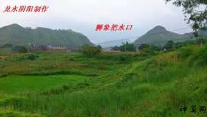 风水狮象塞水口图片(风水狮象塞水口图片大全)