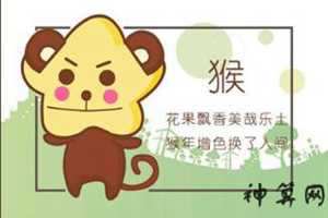 92年属猴女今年婚姻状况(92年属猴30岁有一劫2021)