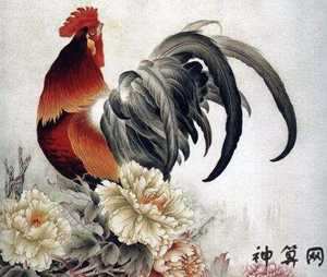 属鸡人2018年居住风水(属鸡人2018年居住风水好吗)