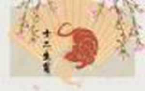 今天属鼠的人财运(今天属鼠的人财运怎样)