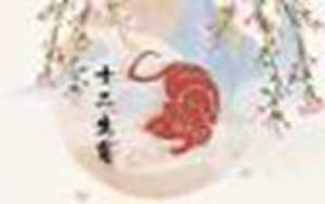 鼠五月运势怎么样-神算网(鼠的五月运势怎么样)
