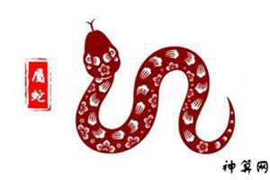 属蛇得今年爱情运势(属蛇得今年爱情运势好吗)