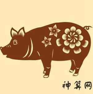 47年属猪风水方位(47年属猪风水方位吉凶)