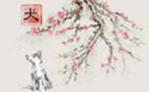 82年属狗哪年走大运(82年属狗哪年走大运呢)