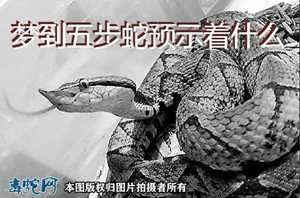 做梦梦到五步蛇-神算网(做梦梦见五步蛇是什么征兆)