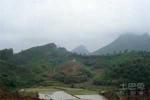 梦到看坟地风水(梦到看坟地风水什么意思)