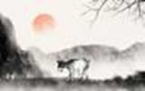 属羊人今年的婚姻感情怎么样(属羊人今年的婚姻感情怎么样呢)