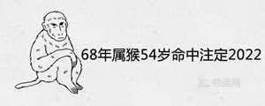 1968年属猴2022年运势及运程(1968年属猴2022年运势及运程男性)