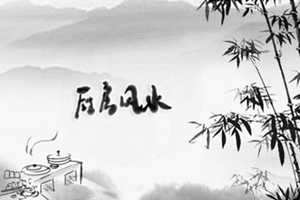 家里摆什么可以人旺财旺(家里摆什么可以人旺财旺自己)