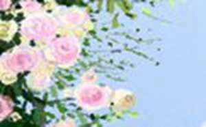 玄学自学入门(玄学自学入门零基础读什么书)
