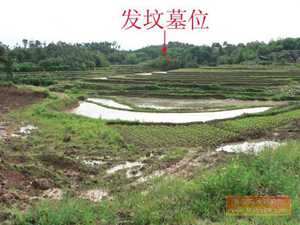 祖坟风水与长子次子(墓地风水长子次子排法)