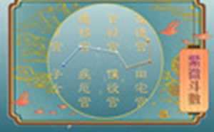2021年各紫微主星运势(2022年各紫微主星运势)