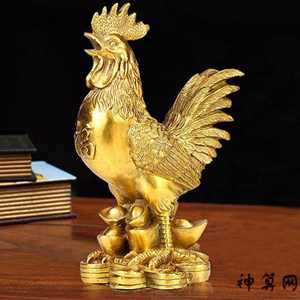 鸡夜晚叫的风水(鸡夜晚叫的风水寓意)