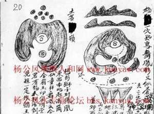 马蹄的风水应用(马蹄的风水应用有哪些)