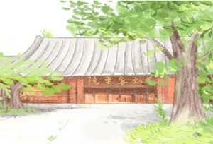 墓地适合栽哪些树(墓地适合栽哪些树木)