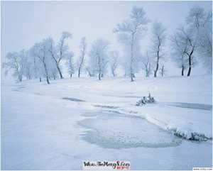 做梦梦到雪地捡钱(做梦梦到雪地捡钱什么意思)