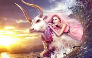 金牛女是个很神奇的存在(金牛座一生有几次婚姻)
