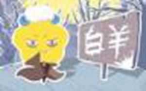 顶级优秀的星座(顶级优秀的星座女)