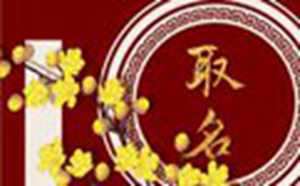 1995年属猪2022年结婚好不好