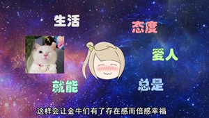金牛座女人和双子座男、为何如此喜欢-神算网(金牛座女和双子座男俩人谁善于冷战)