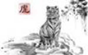 属虎人运势及运程每月运程(属虎人2022年运程及每月运势)