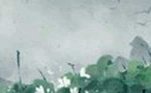 梦到捡钱了是什么意思-神算网(梦到捡钱是怎么了)