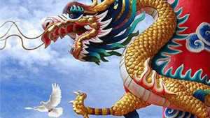 属龙人今年财运怎么样(属龙的运气什么时候最好)