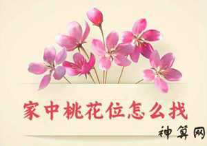 房间放桃花风水(房间放桃花在风水上说法)
