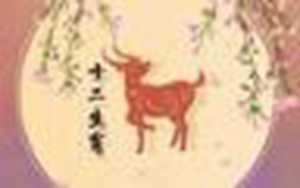 属羊和属猪的婚姻如何(属羊和属猪的婚姻如何)