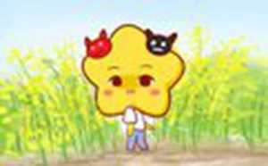 同样星座的人性格像吗