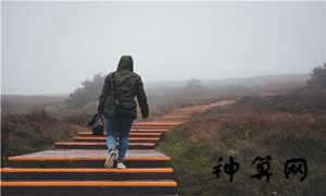 办公室放什么植物风水好(领导办公室放什么植物风水好)