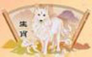 适合属狗人长期佩戴的首饰(适合属狗人长期佩戴的首饰82年四月的狗)