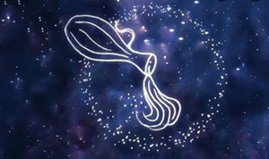 水瓶座星座运势怎么样