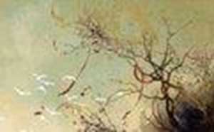 山水画鸿运当头高清图片大全(鸿运当头国画山水图片大全集)