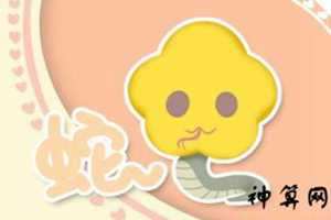 2017年属蛇今日运势完整版(2017年属蛇运势)