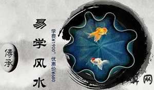 世界易经风水(世界易经风水联合会)